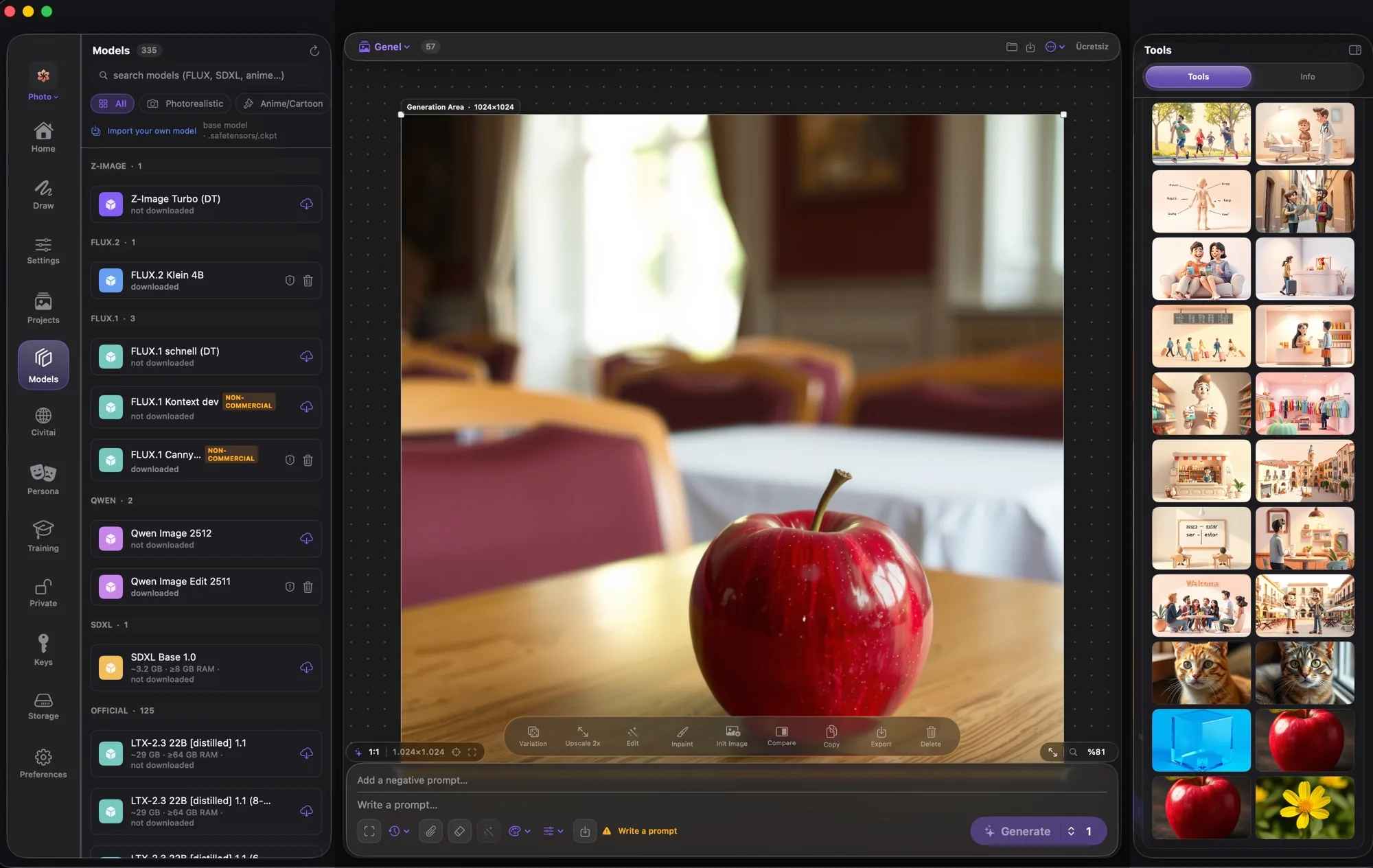 Saglitz Studio generation canvas with the model library and editing tools